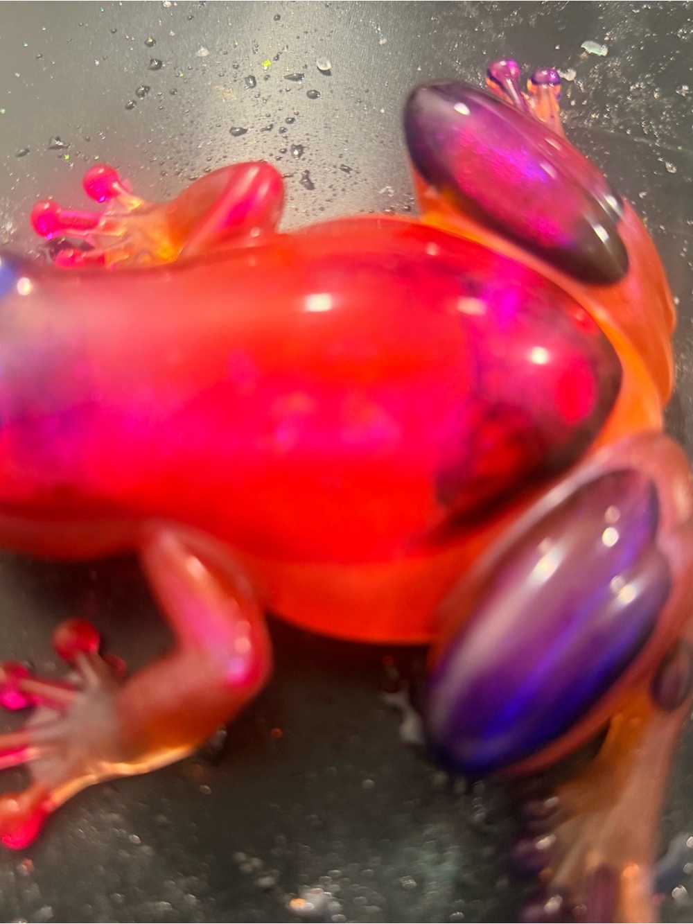 Vibrant Pink & Purple Frog Décor